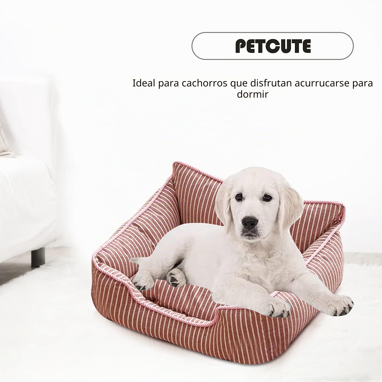 PETCUTE Cama Gato y Perros Pequeños,Camas para Perros,Ortopédica Cama para Perros de Espuma Viscoelástica con Funda extraíble,Sofá Cama para Mascotas Lavable y Antideslizante