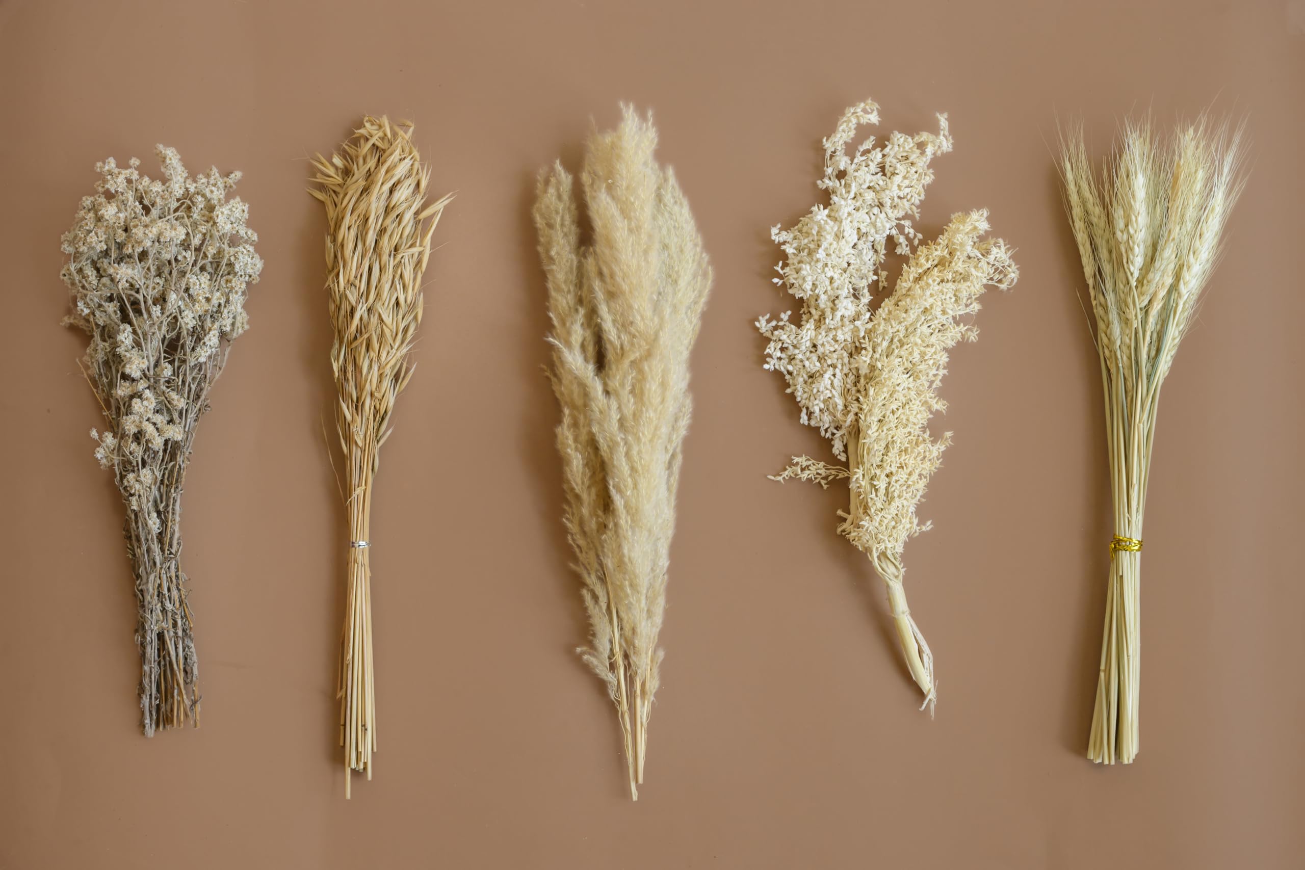 100 pcs Luxe Ivory Dried Flower Combo Set | Dried Grasses- Pampas, Avena Grass, Gypsy, Wheat & Natural Botanicals | Elegant Neutral Décor for Vase & Home Styling-image-2