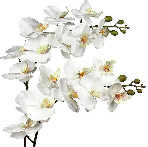 Vista 29 de DILATATA Orquídea Phalaenopsis floreciente de 31.5 pulgadas de alto, orquídea artificial de tacto real con 9 flores grandes, orquídeas falsas