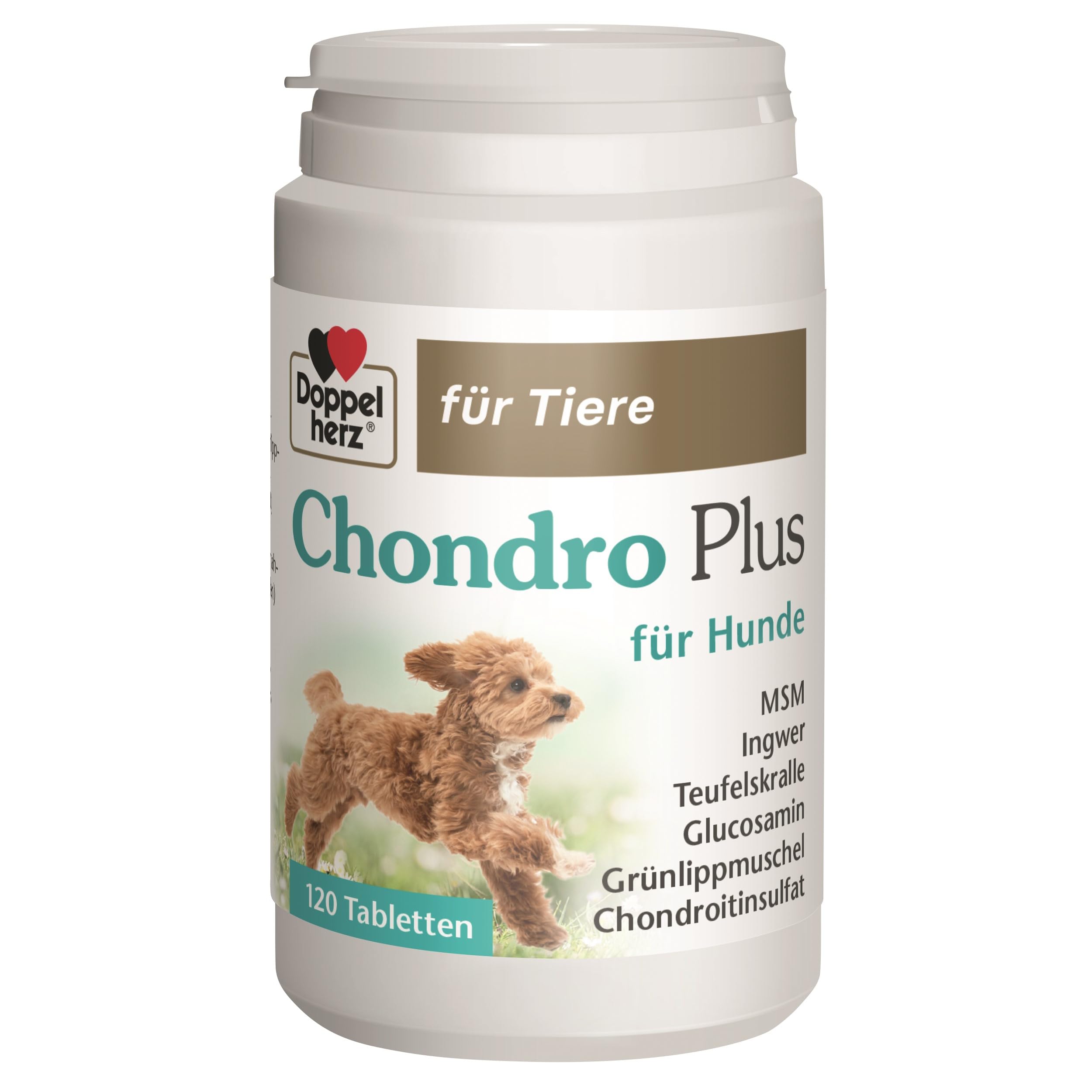 Doppelherz für Tiere Chondro Plus für Hunde - Für aktive Hunde - Mit Chondroitin, Glucosamin und Grünlippmuschel - 120 Tabletten