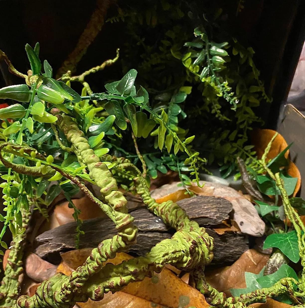 Bearded Dragon Terrarium Bearded Dragon Accessories Navaris Bearded ...