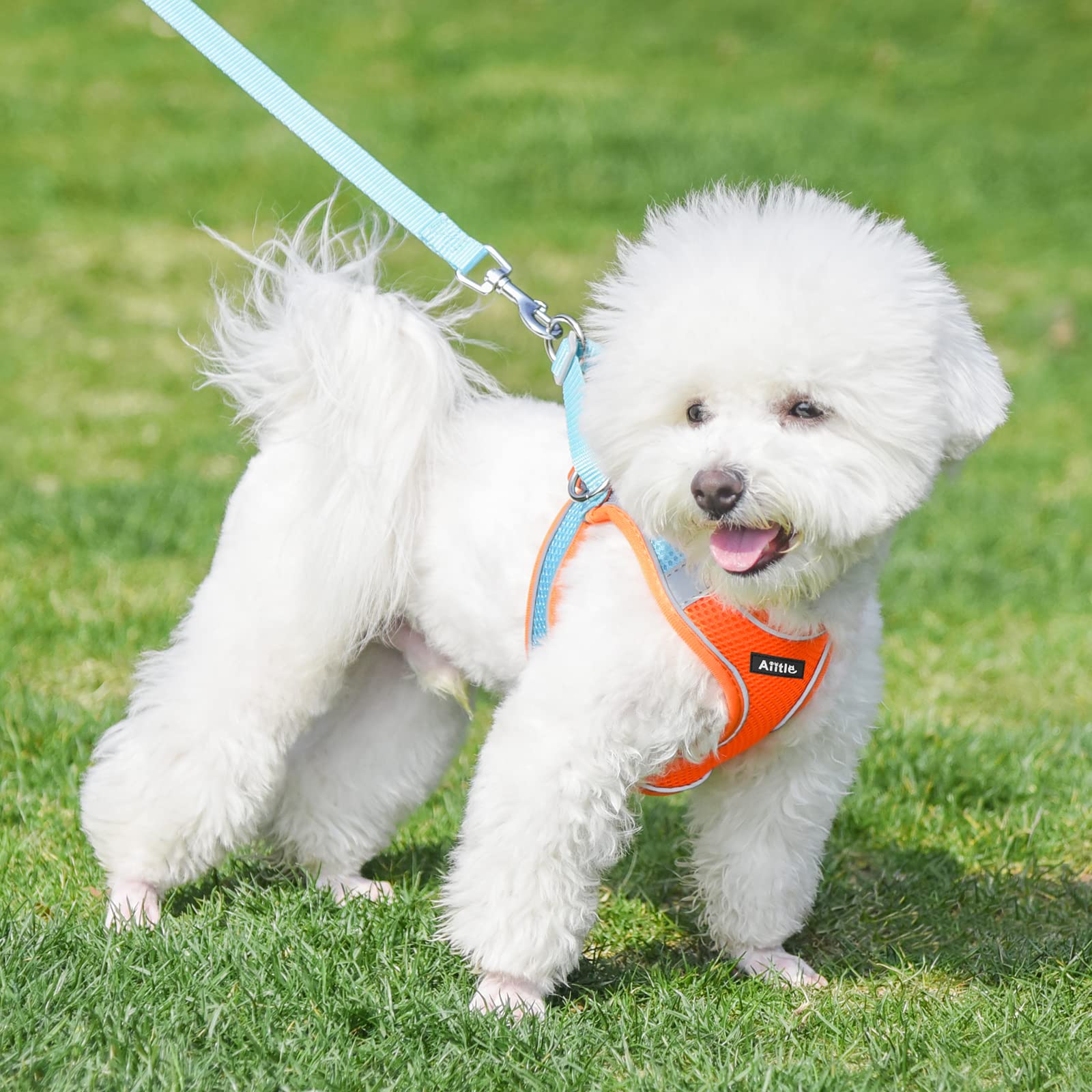 AIITLE No Pull Dog Harness and Leash Set - Image 3