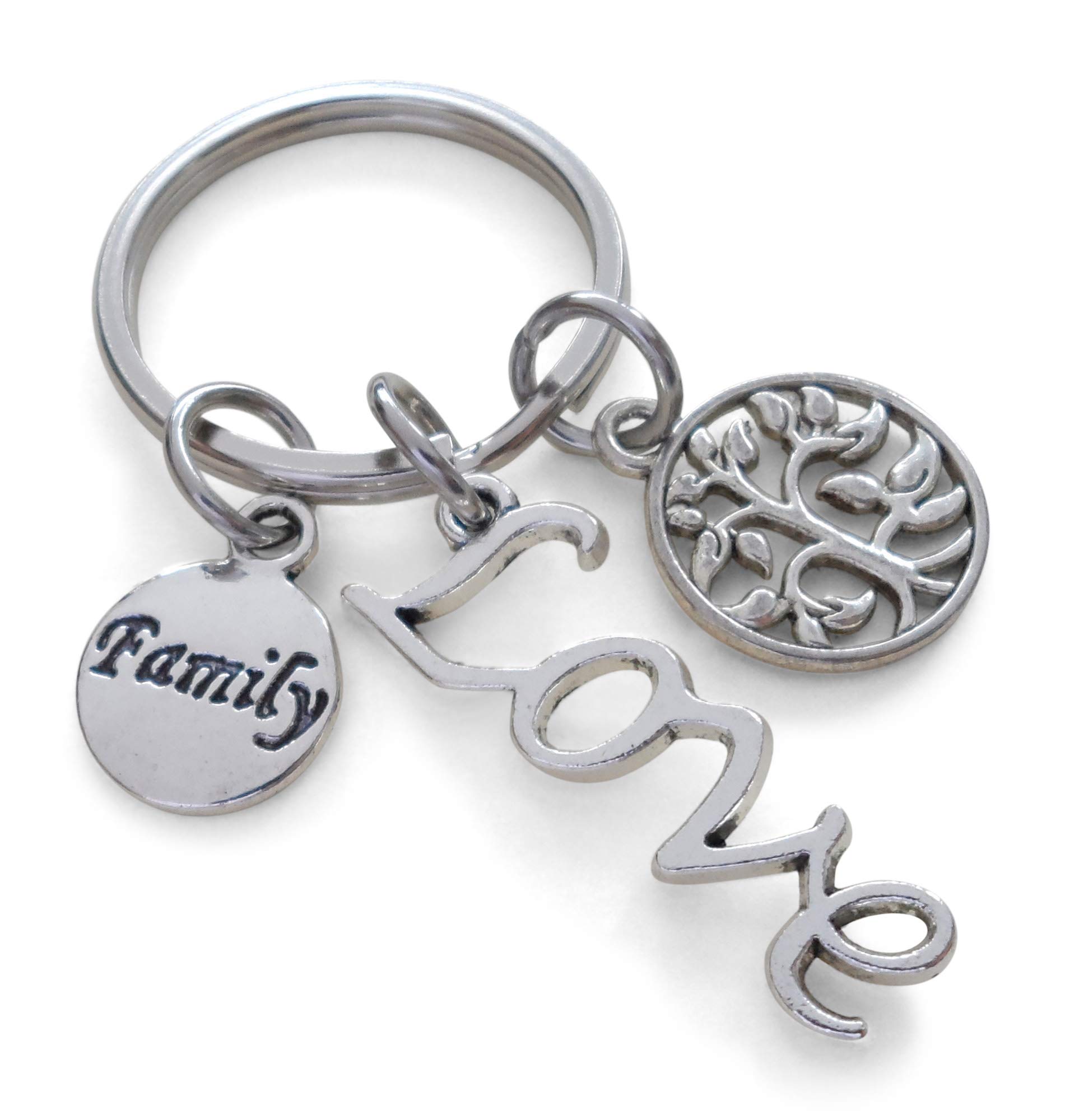 Family Love Keychain, Family Reunion Gift with Love Charm, Family Disc Charm, & Tree Charm
