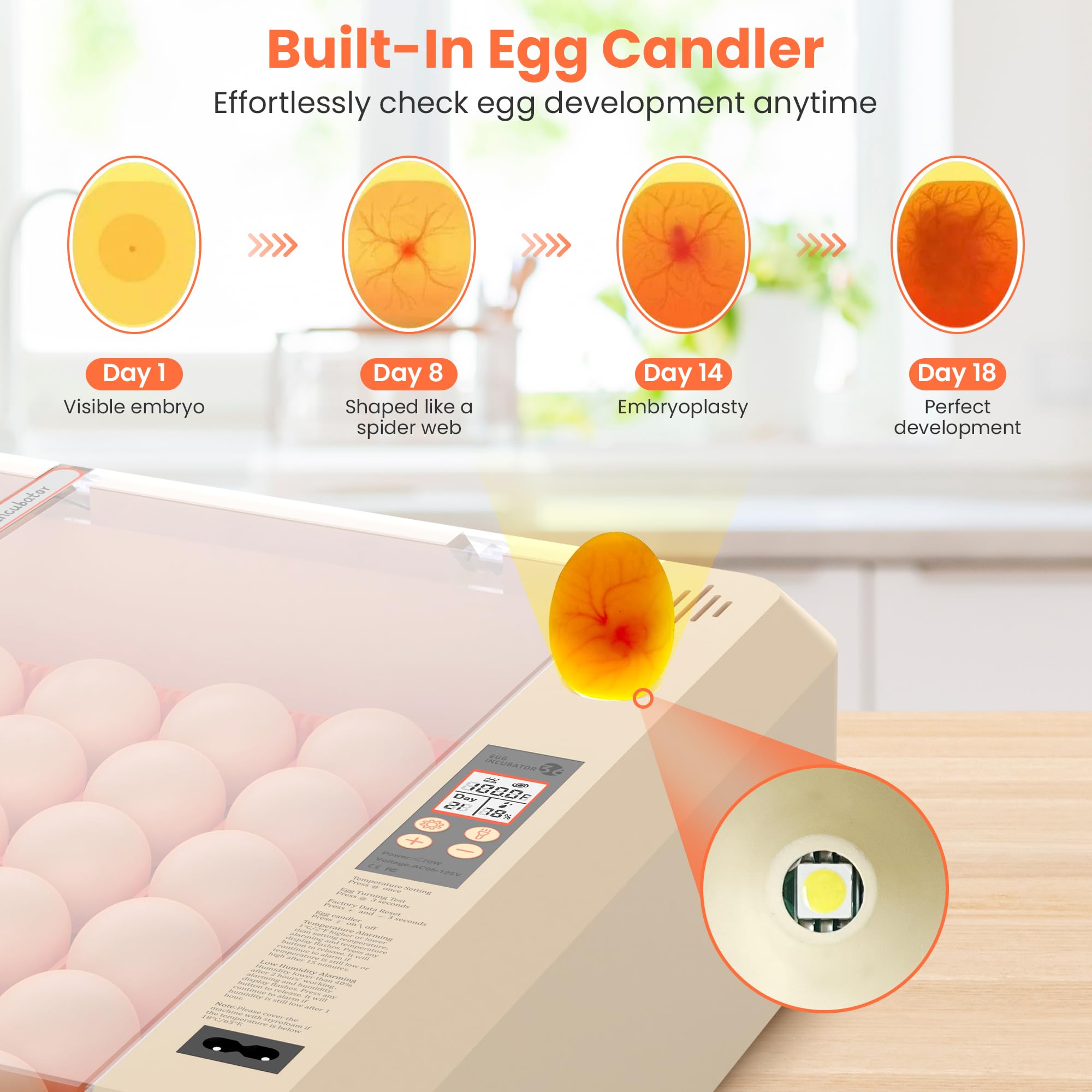 Incubadora de huevos 36-60 con giro automático de huevos y control de humedad, incubadora de huevos de gallina ajustable con pantalla digital, para incubar huevos, incluye huevos de codorniz