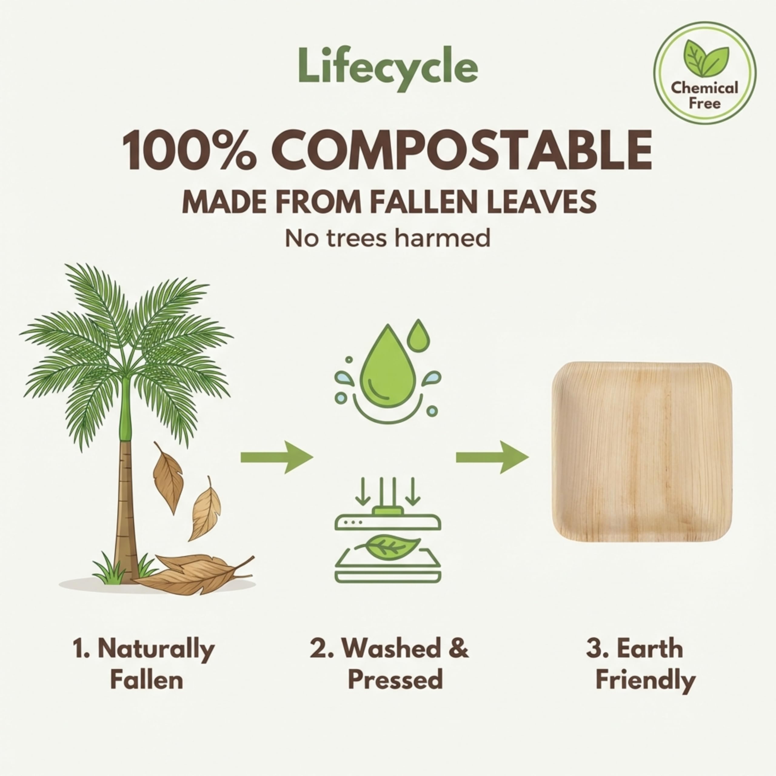 Platos de postre cuadrados pequeños de 6 pulgadas, paquete de 50 unidades, iguales que los platos de bambú desechables para aperitivos y cócteles, compostables y ecológicos