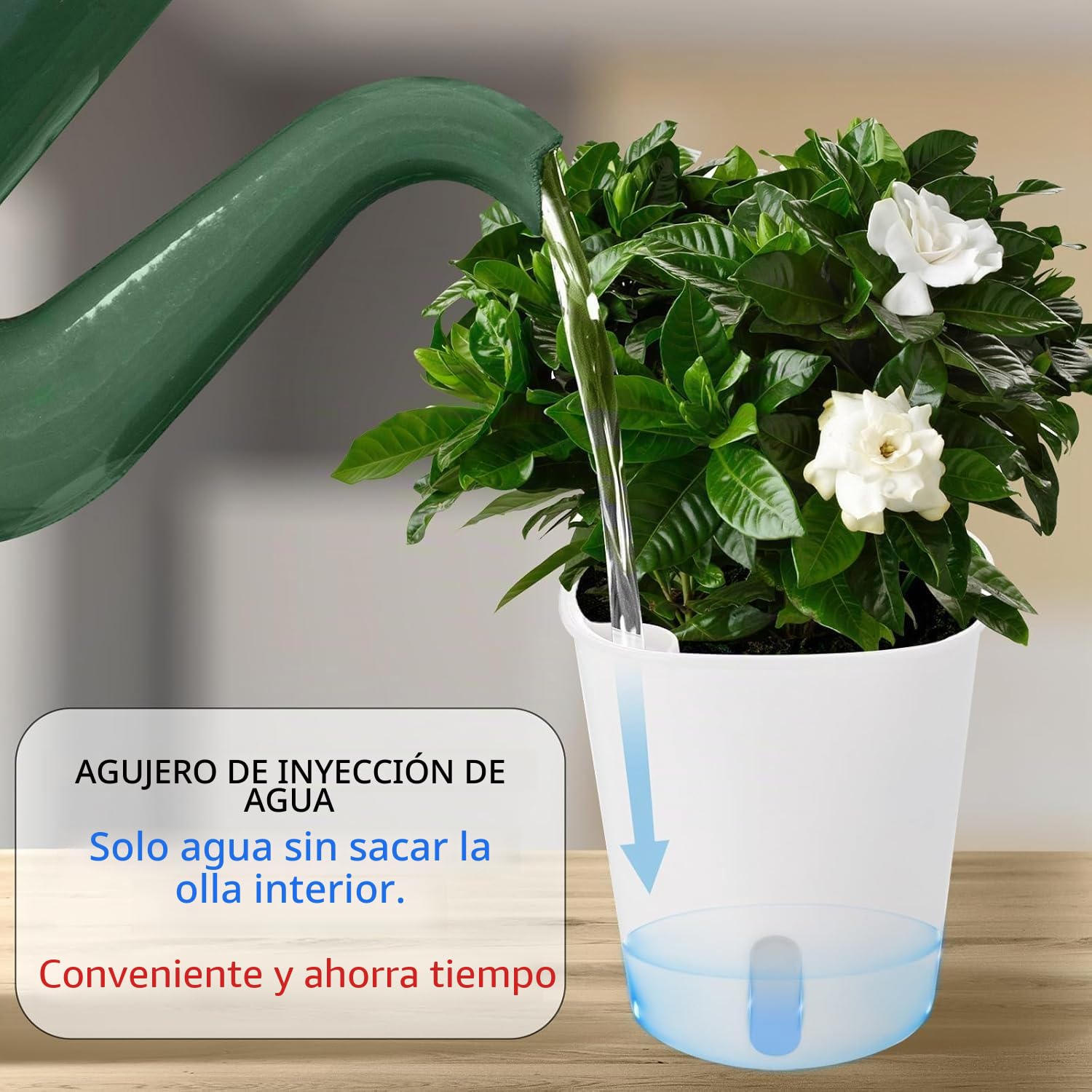 Maceta Plástico Autorriego, 10 Piezas Ronda Macetas con Ventana Nivel Agua, 9.5cm Maceteros Hierbas, Jardineras Decorativos para Interiores Exteriores