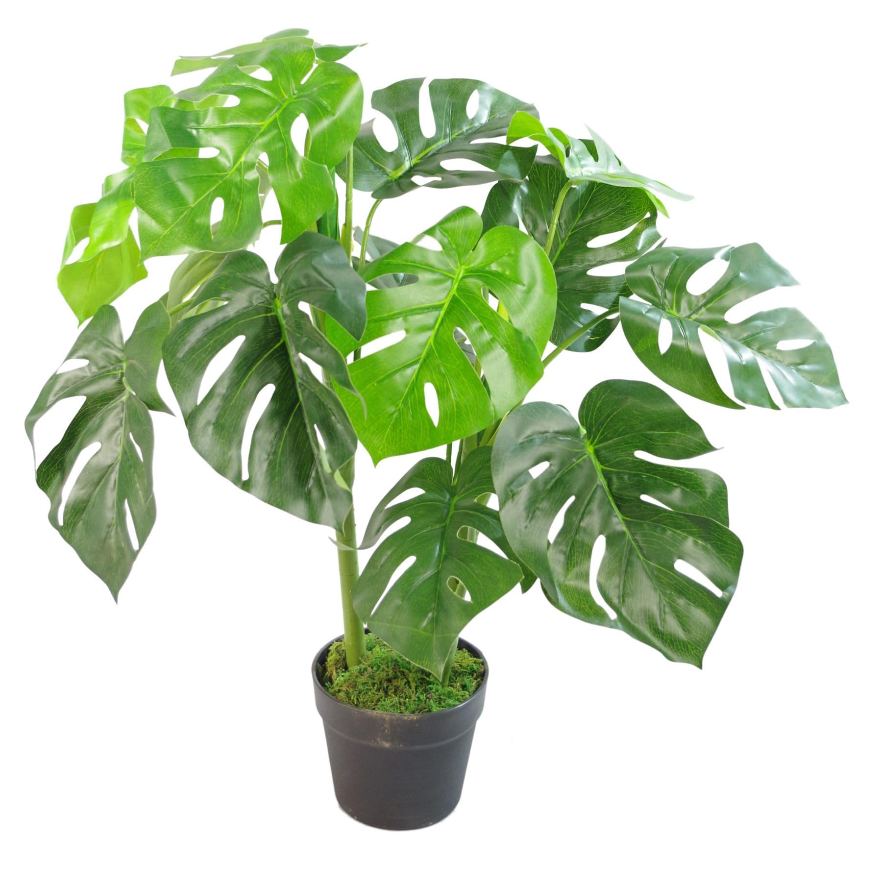Artificial Monstera Plant - 80cm Green Plastic Realistic Potted Faux Foliage - Leaf