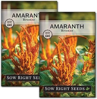 Sow Right Seeds - Bronze Amaranth Seeds for Planting - Non-GMO Heirloom Packet with Instructions to Plant & Grow an Outdoor Home Vegetable Garden - Colorful & Unique Autumn Bouquets (2)
