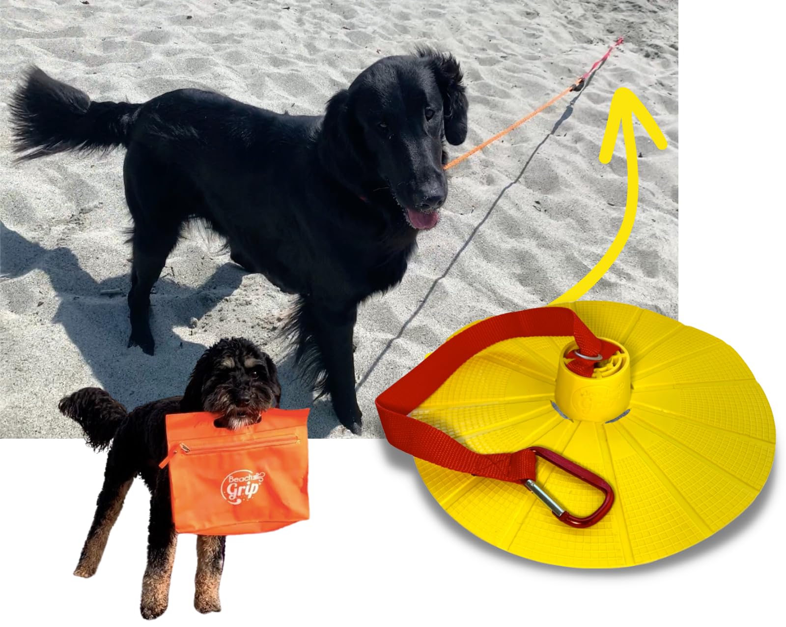 BeachGrip Ancoraggio per cani da spiaggia, progettato per funzionare nella sabbia, piccolo, leggero, facile da usare e durevole, l'accessorio per portare il vostro amico a quattro zampe in spiaggia