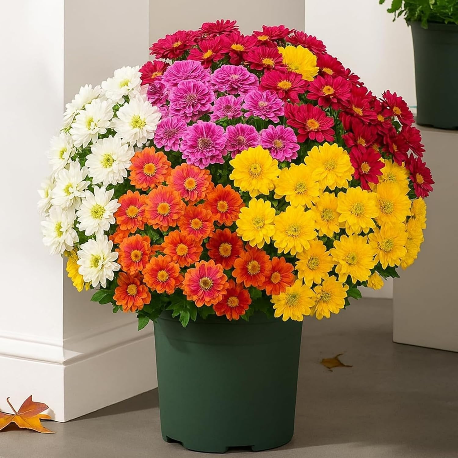 Fleurs d'automne artificielles résistantes UV et décoloration pour balcon