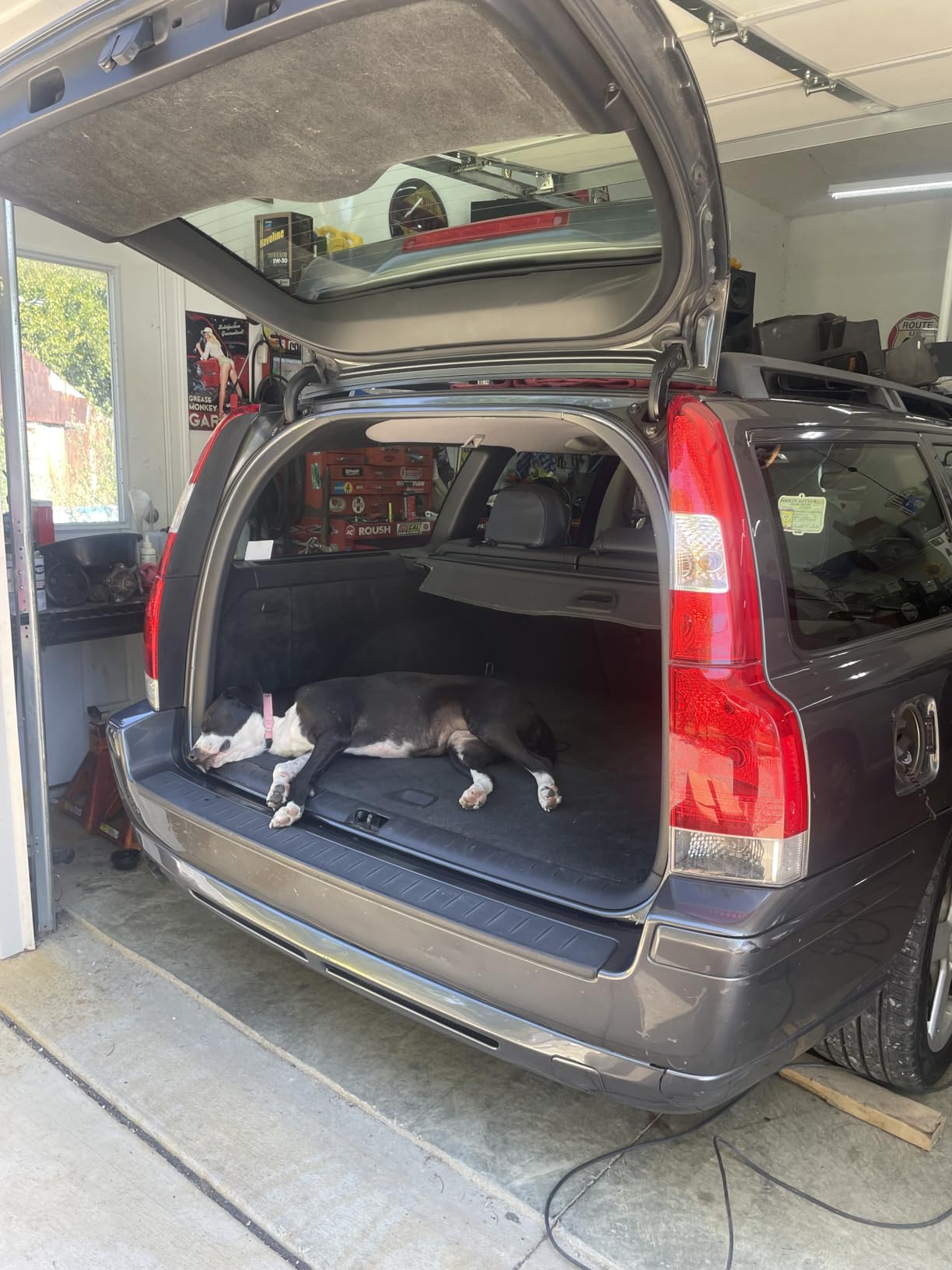Customer Image