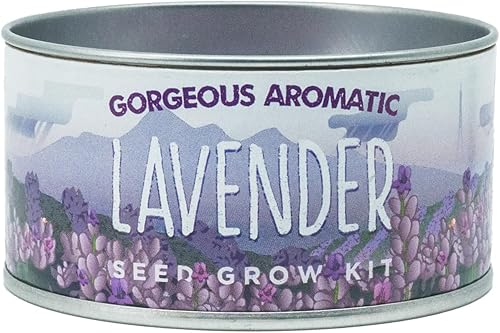 Lavanda | Kit de cultivo de semillas de flores | The Jonsteen Company
