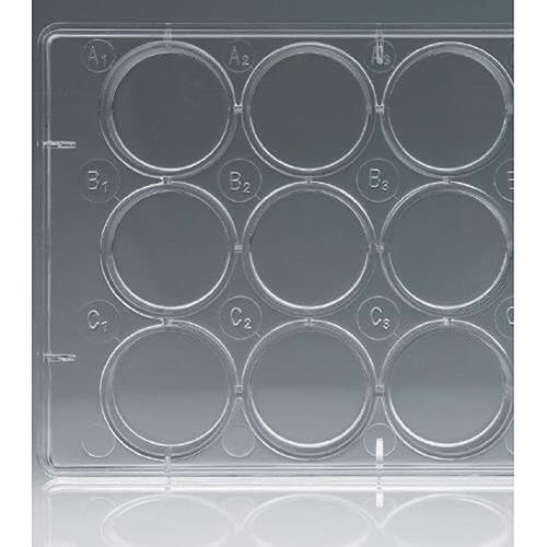 Celltreat 229112 Placa de cultivo de tejidos de 12 pozos con tapa, estéril, área de crecimiento celular de 0.6 in, paquete individual (caja de 100)