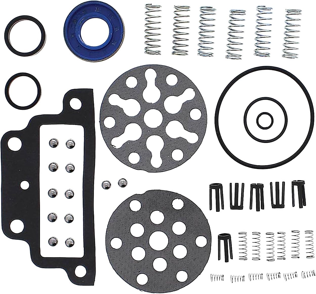 Pump Repair Kit CKPN600A 81821107 Compatible with New Holland Tractor 2000 2600 2610 3000 3600 3610 4000 4110 4600 4610 Series