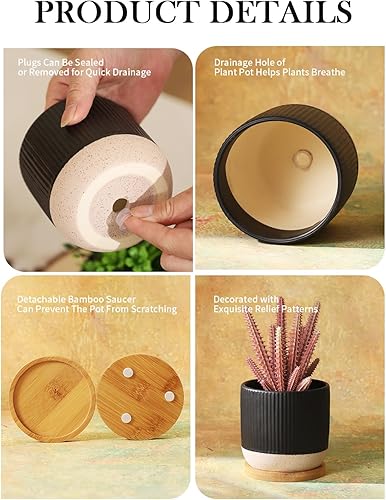 Miniatura 9 de AOMRYOM Macetas pequeñas de cerámica de 4 pulgadas con orificio de drenaje y platillo, maceta moderna para suculentas, plantas de interior, cactus,
