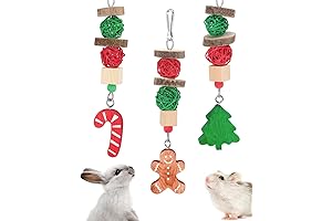 Xylolfsty Christmas Hamster Playthings Assortment