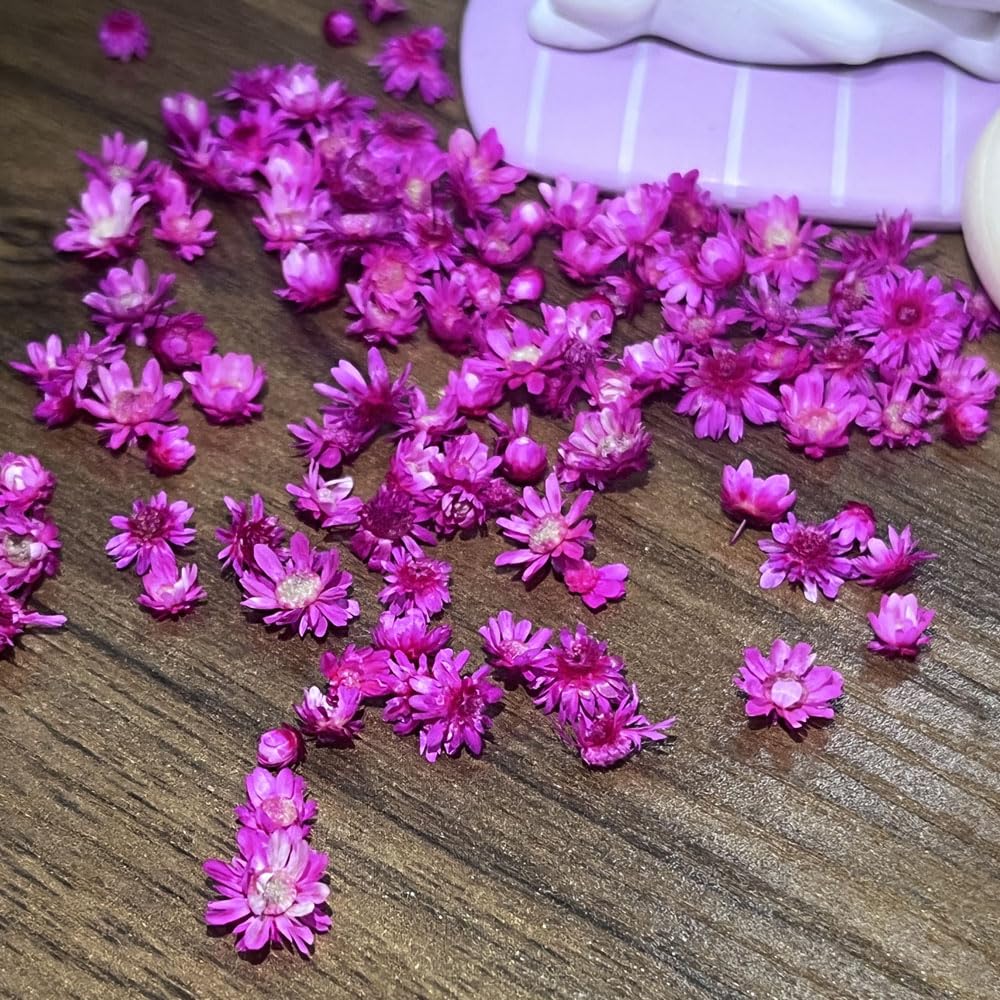 Fiori Secchi Per Resina E Candele - 280 Pezzi Con Scatola, Decorativi Per Artigianato Fai Da Te - Foto 5