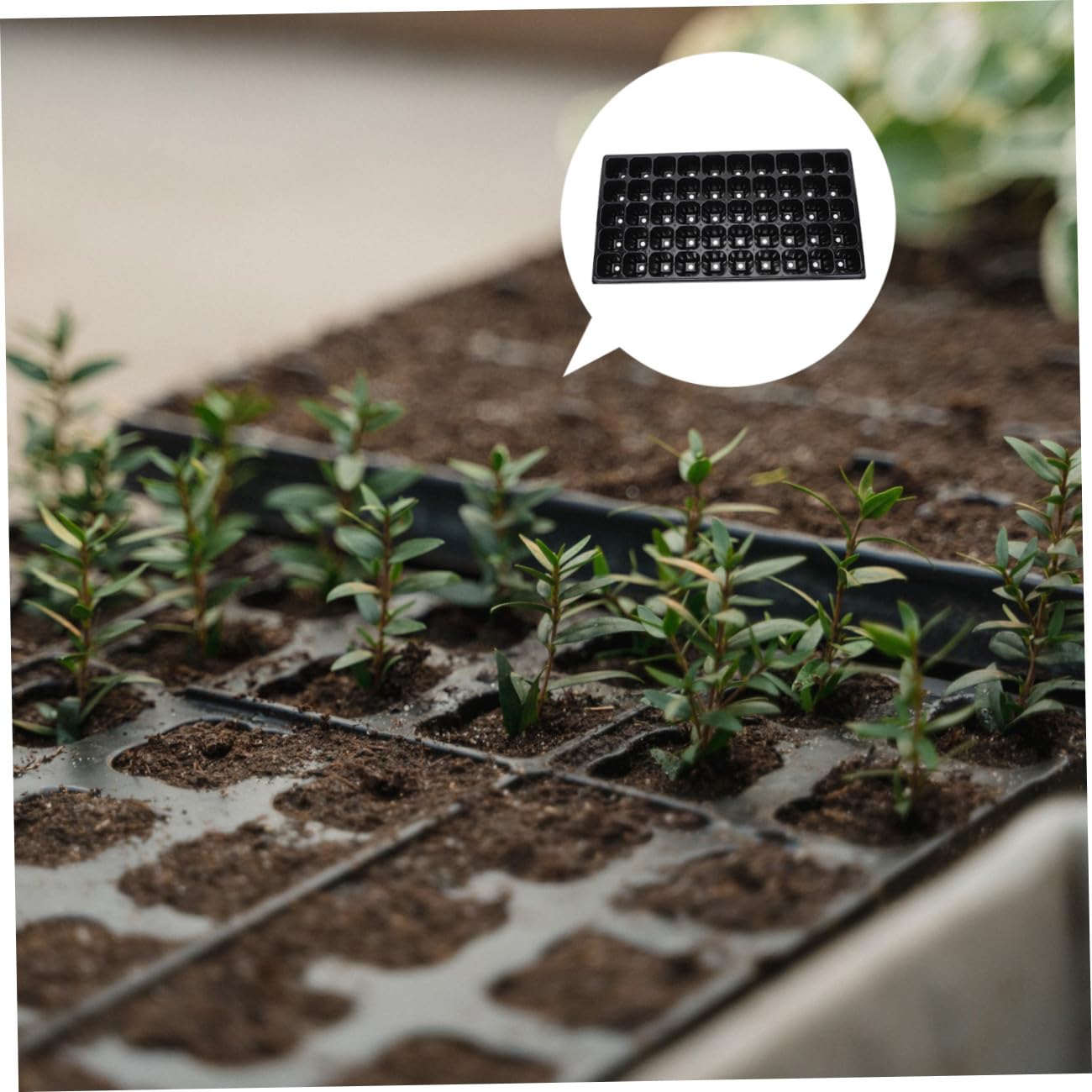 Toddmomy 10piezas Bandejas De Germinación De Plantas Unidades Placa De Germinación para Viveros Contenedor De Herramienta De Jardinería Material Plástico No Deformable