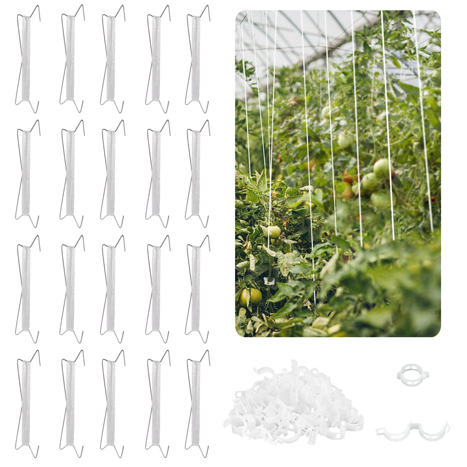 Amazon.com : Aulock 60pcs Tomato Planting Support Kits, Including