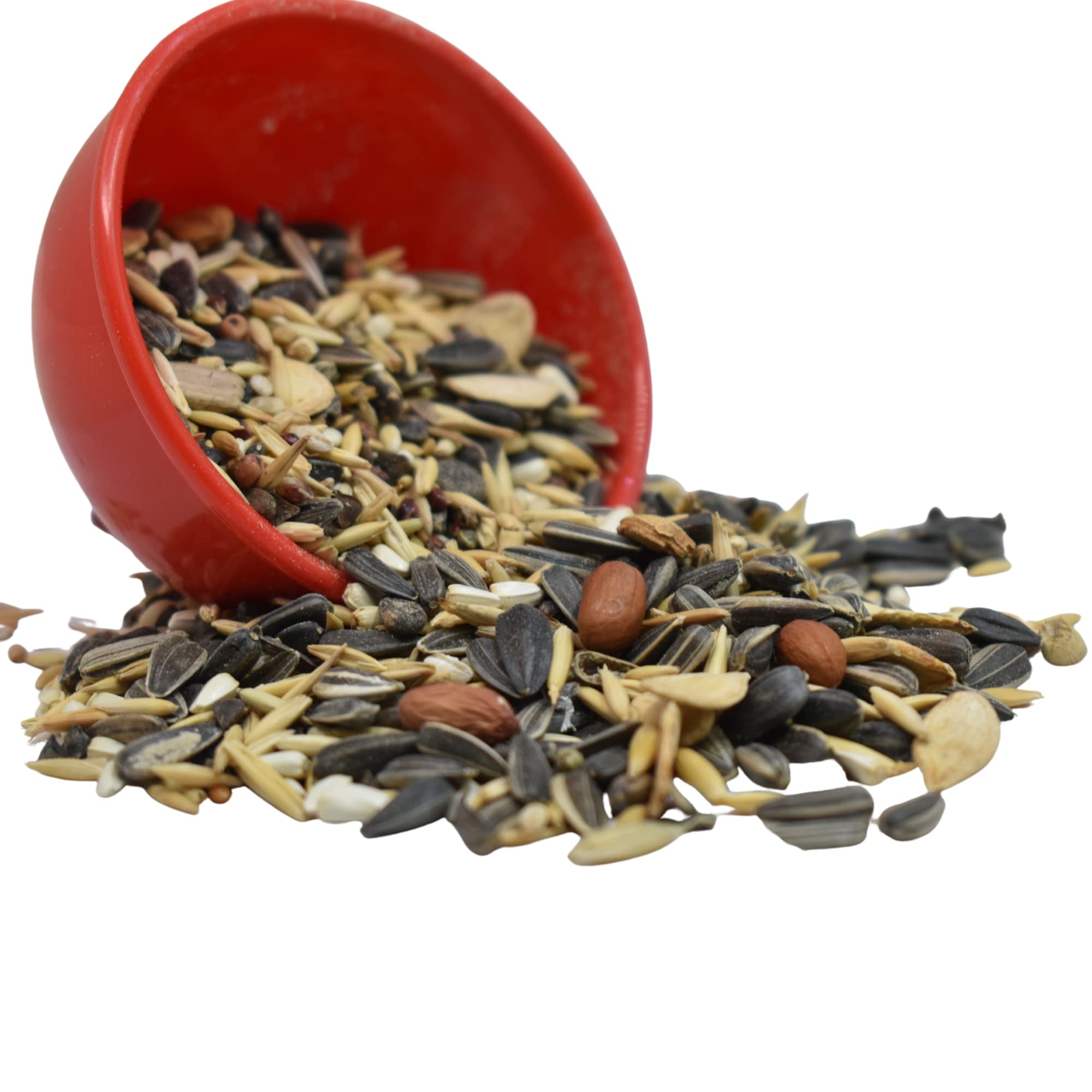 Skybeings Special Mix Conure Bird Food, 900 gram (B0C4HGQ122) Amazon Price History, Amazon Price Tracker