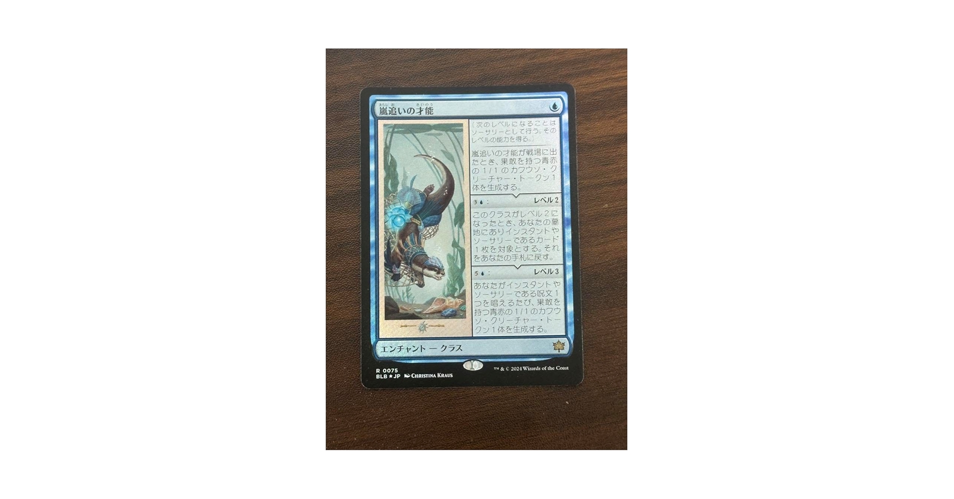 Amazon.co.jp: 嵐追いの才能 Stormchaser's Talent ブルーム