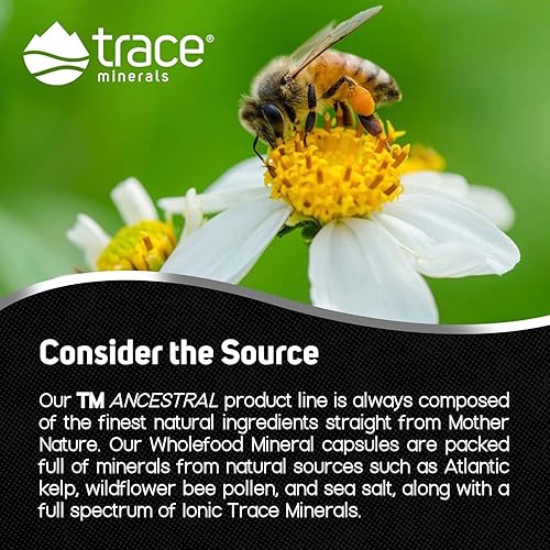 Miniatura 5 de Trace Minerals Wholefood Minerals - Suplemento de apoyo para la salud corporal y cerebral - Suplemento alimenticio para la salud con polen de abeja