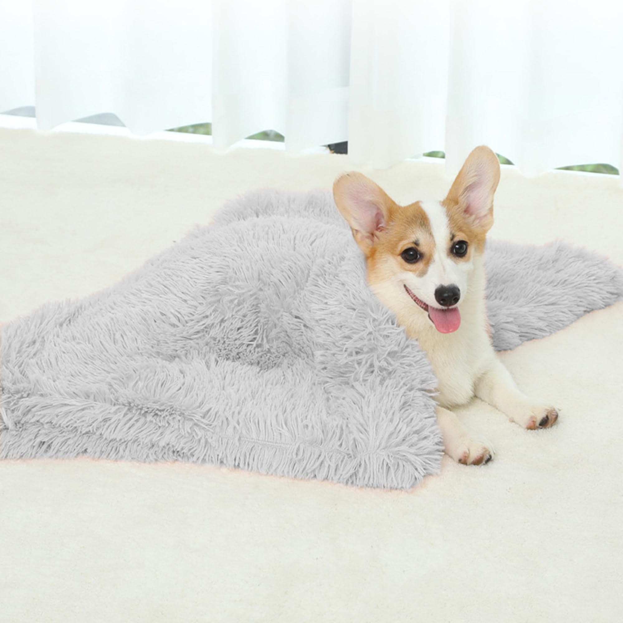 Coperta calda per animali domestici, lavabile in lavatrice, coperta per cani e animali domestici, protezione per mobili, ideale per divani, seggiolini auto, interni (grigio scuro, 2 pezzi, 127