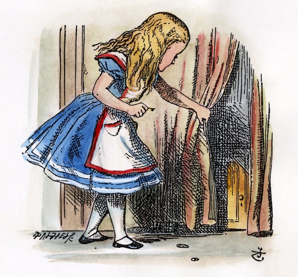 Amazon.com: Carroll Alice 1865 Nbehind A Low Curtain Alice Notices