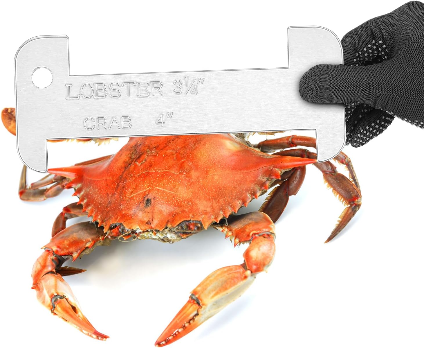 Copkim 2 Pcs Aluminum Lobster and Crab Gauge Measuring Tool for California, Maine, Durable Lobster 3-1/4" and Crab 4" Gauge image 4
