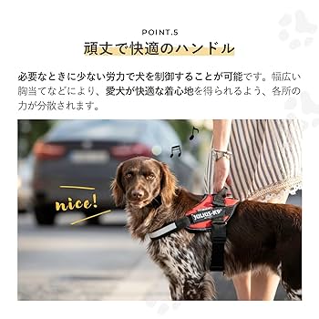 ユリウスＫ9新品2個セット Julius-K9 ユリウスケーナイン IDCパワーハーネス Baby2 （2XS