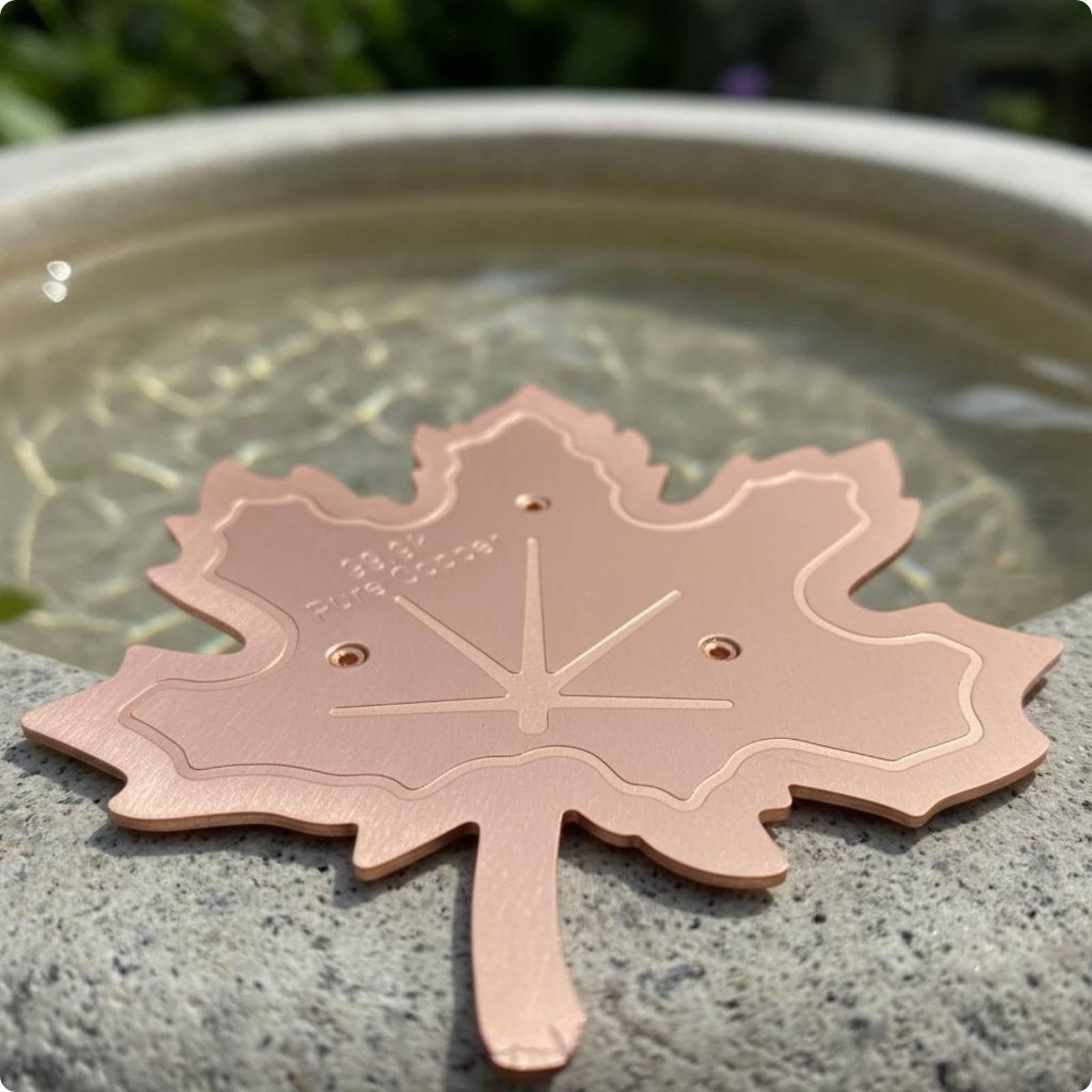 Bird Bath Disk Birdbath Purification Disc Easy to Place Copper Cleaning Disk Style D-image-22