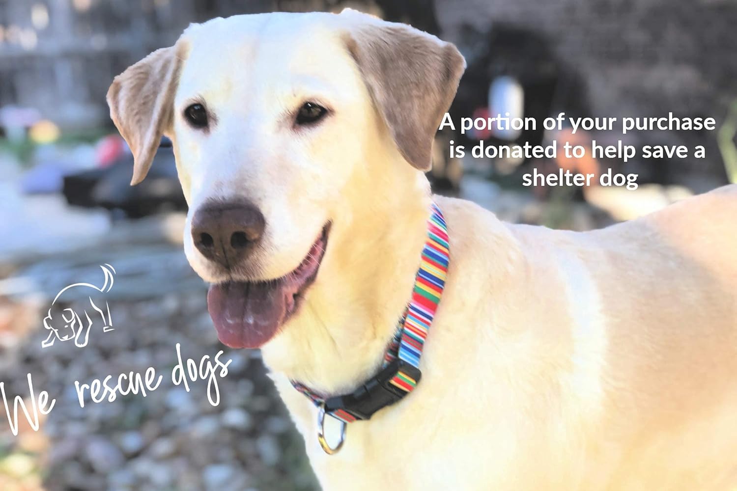 Lucky Love Dog, Adjustable Dog Collar with Easy Click Buckle for Small Ones Durable, & Comfortable for Male & Female Dogs - Image 4