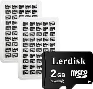 Lerdisk Factory Wholesale 100-Pack Micro SD Card 2GB in Bulk Class 6 MicroSD Produced by 3C Group Authorized Licencee (2GB - 100 Pieces Pack)