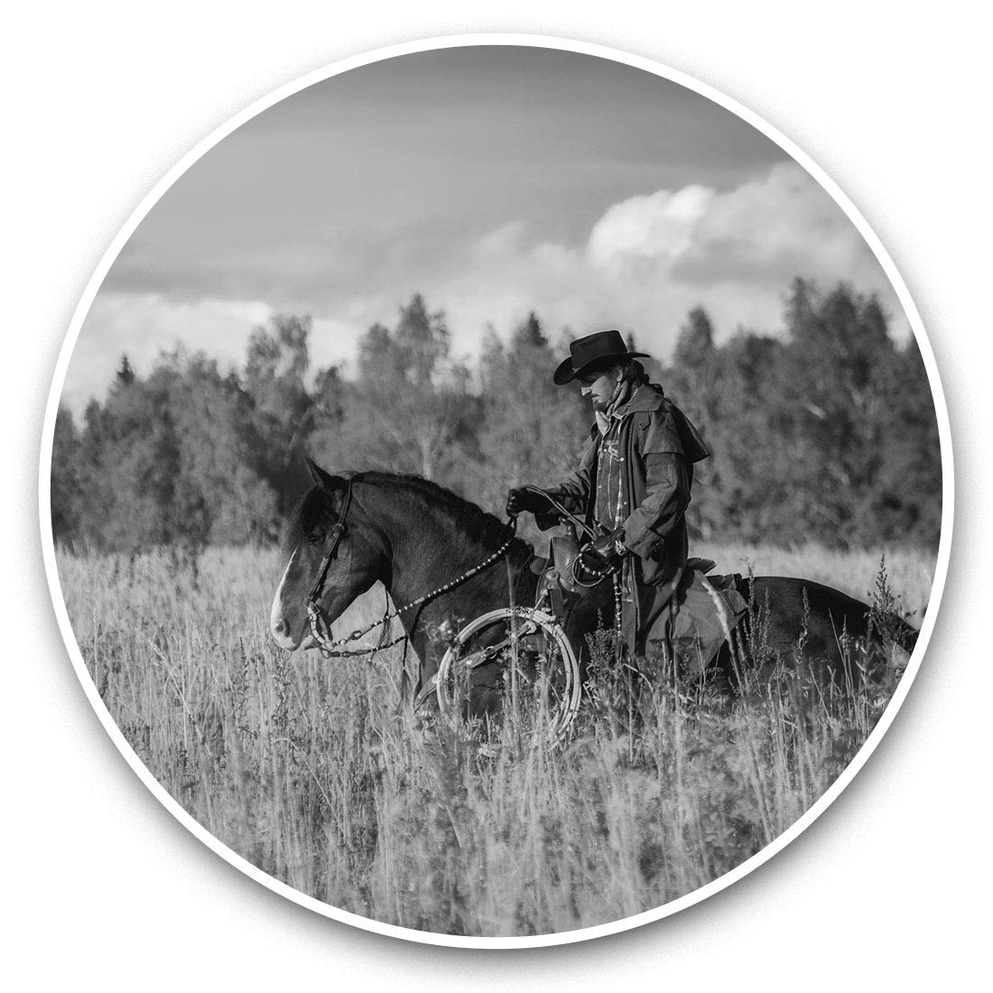Destination Vinyl Ltd Bw Western Cowboy Horse America Wild West 43754 Vinyl Stickers (Set Of 2) 7.5Cm (Bw) - Western Cowboy Horse America Wild West Laptop Tablet Luggage Scrapbook #43754