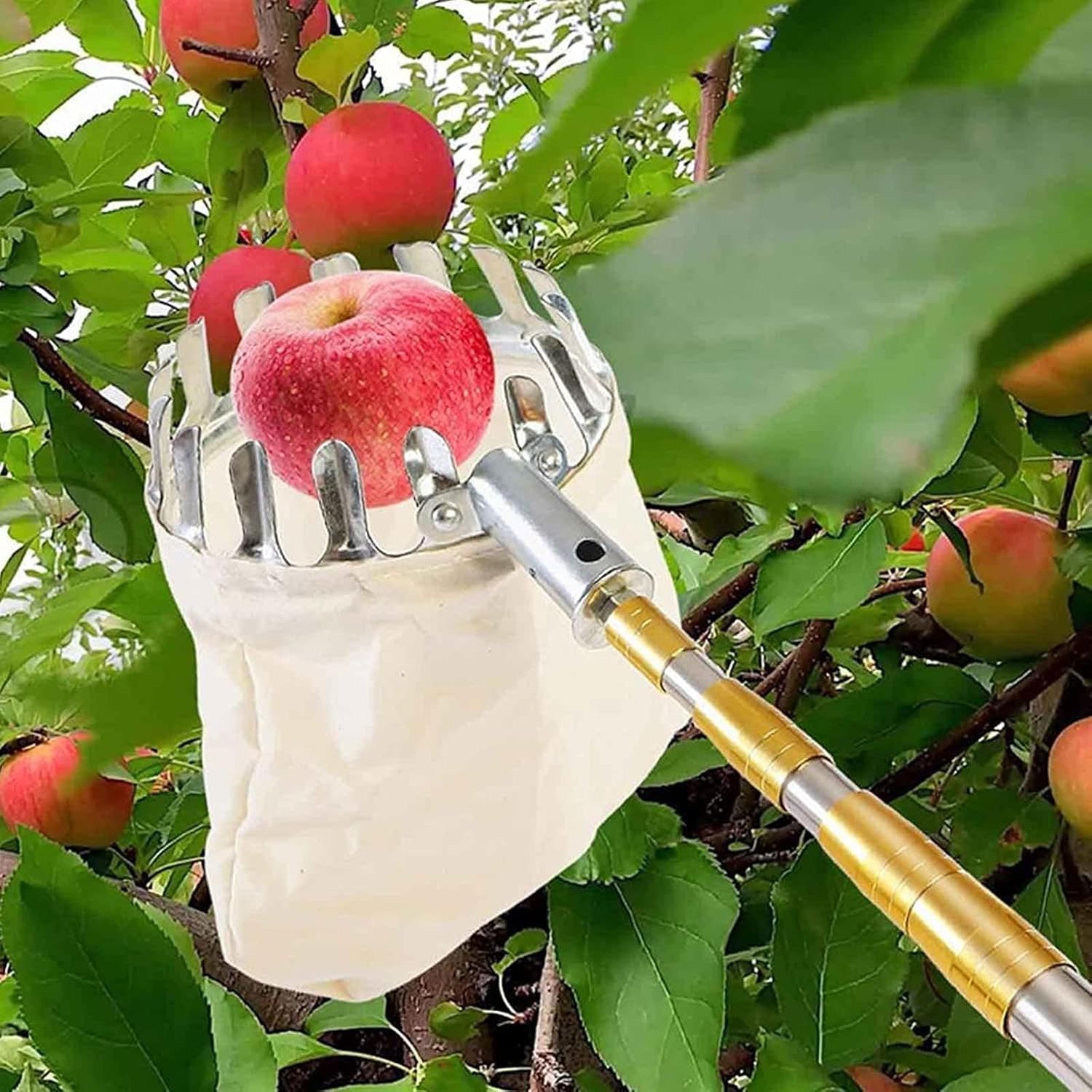 ObstpflückerWerkzeug, Obstpflückerntemaschine Mit Ausziehbarer