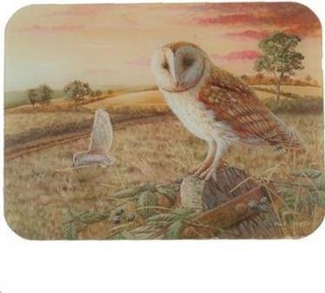 Glass Board 16x12 inch - Owl