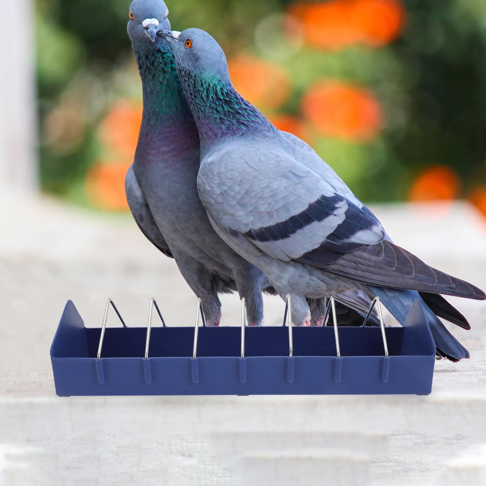 GANAZONO 2 Pièces Pigeon Mangeoire Mangeoire à Oiseaux Fente en Plastique Bac de Rangement Distributeur de Nourriture pour Oiseaux Plat d'alimentation Conteneur Grand Bol d'alimentation