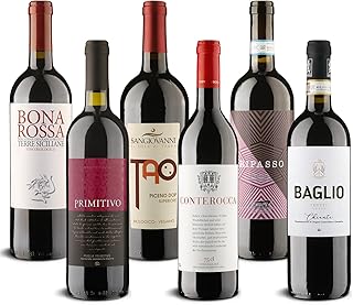 DELINAT Bio Rotwein Set Bella Italia – 6 Flaschen Italien Probierpaket mit Primitivo, Ripasso & Nero d'Avola – 5x trocken & 1x halbtrocken, vegan (6 x 0,75l)