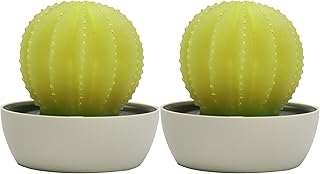 CANDLE CHOICE Battery Operated Flameless LED Candles with Timer Handmade Real Wax Succulent Cactus Flickering Electric Night Lights Fake Cacti Plants Home Decorations Table Centerpieces 2 Pack Yellow