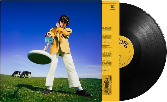 What Happened to the Beach? por Declan McKenna, capa do álbum