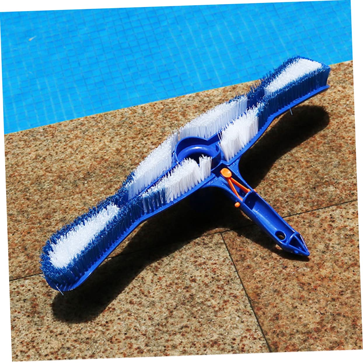 Brosse pour Piscine Bleu à Poils en Plastique 20 Pouces Robuste