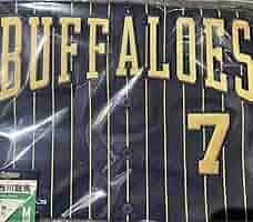 オリックスバファローズ　西川龍馬　ハイクオリティユニフォーム オリックス バファローズ 西川龍馬 ハイクオリティユニフォーム
