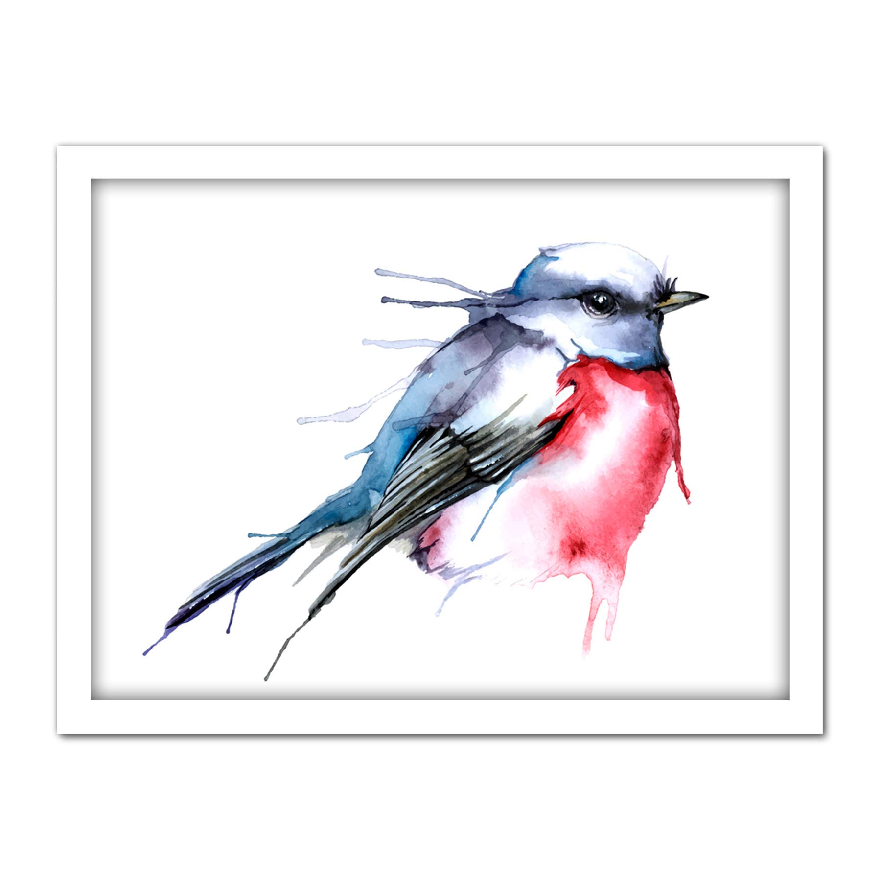 Wee Blue Coo Bird Robin Watercolour Artwork Framed Wall Art Print 18X24 Inch
