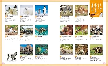 3 生きものの 赤ちゃん (教科書にでてくる 生きものをくらべよう