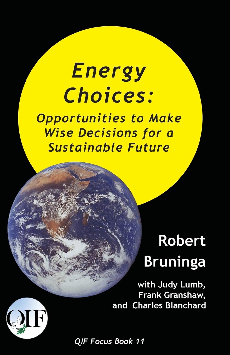 Energy Choices: Opportunities to Make Wise Decisions for a Sustainable Future: 11 (Qif Focus Books)