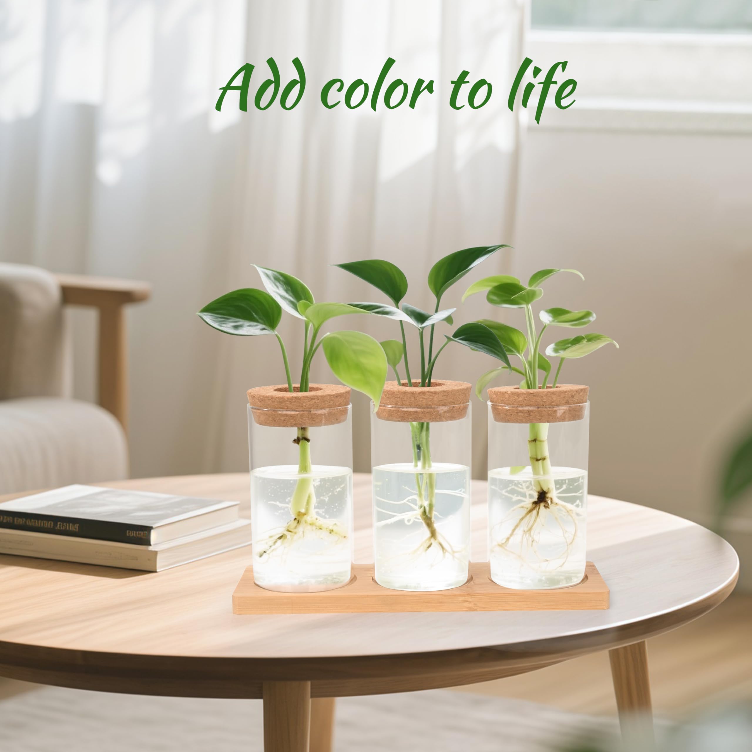 Stations de Propagation de Plantes Vases Hydroponiques avec Socle et Bouchons en Bois pour pour Plantes Aquatiques ou Fleurs 3 Pièces