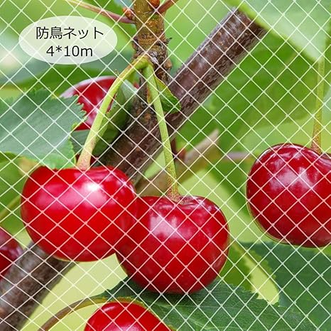 Amazon Ankun防鳥ネット ベランダネット防鳥網 目立ちにくい透明鳥よけネット カラス 鳩鳥害対策 ベランダ 庭 農業 園芸ネットに使用 結束バンド 15本付き 取り付け简单説明書付き 4 10m 防鳥 防獣ネット