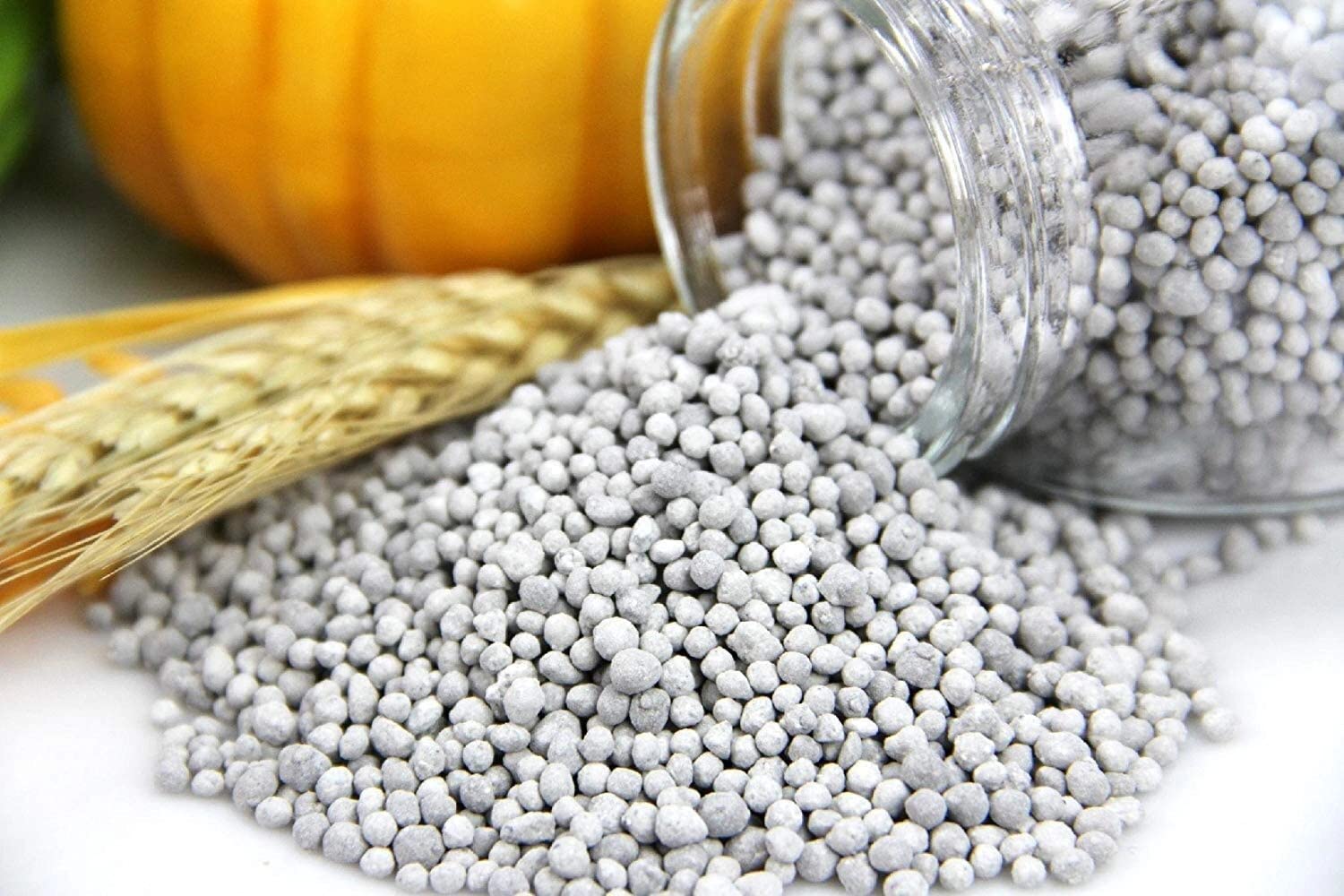 Nature Forest All Purpose DAP (Di Ammonium Phosphate) Fertilizer for Plants 0.25 Kg (B09W6195BP) Amazon Price History, Amazon Price Tracker