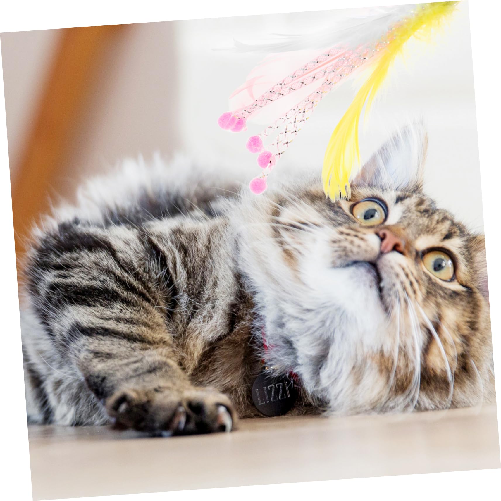 BESPORTBLE Jeux Chat Canne Canne Jouet pour Chat Pièces Recharge Teaser Interactive Cat Toy Arbres à Jouets pour Plume De Jouets pour De De Jouet pour La Plume