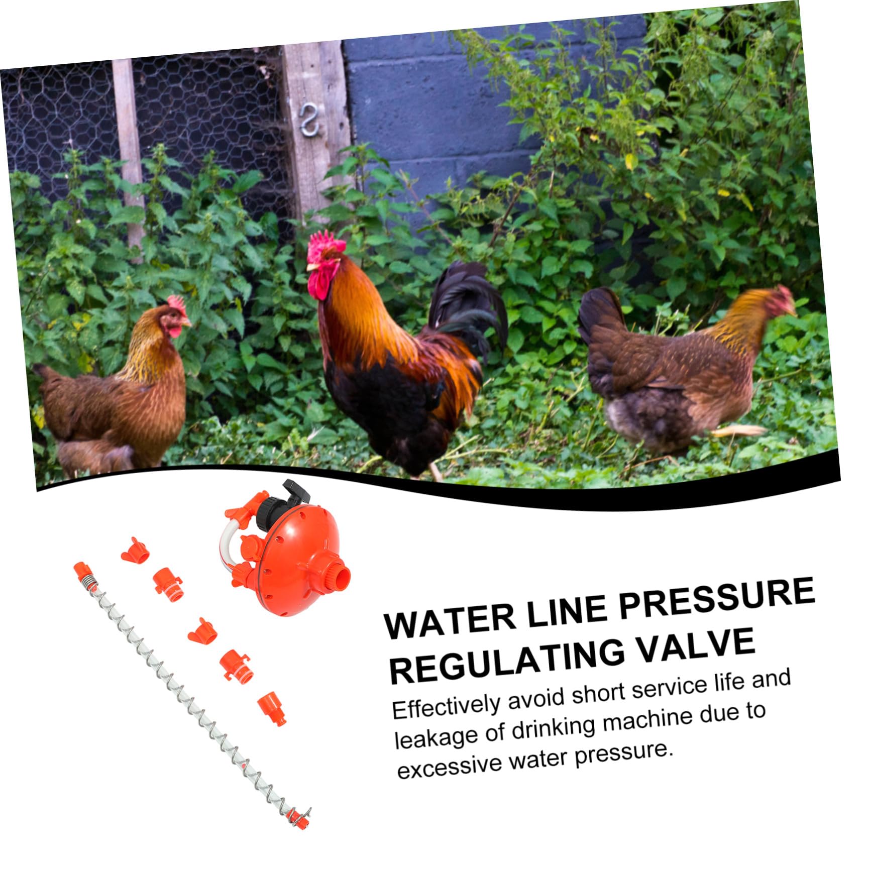 Abbeveratoio per Galline Regolatore di Pressione, Plastico Rosso
